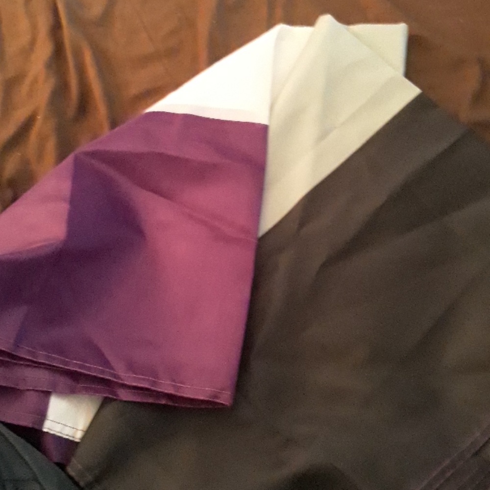Asexual pride flag
